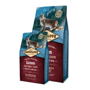 Harnais Cheese Martin sellier 10-35/50 – pour chat – Mr. Croquette